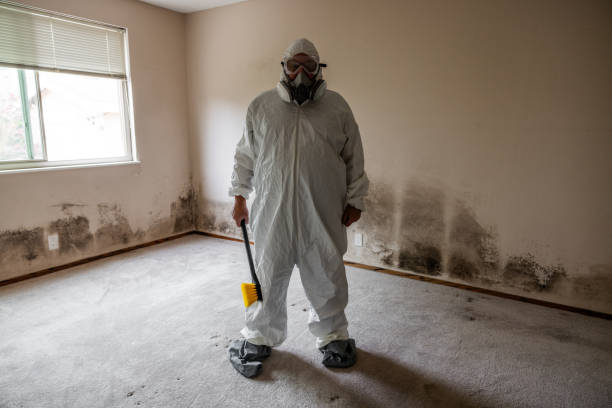 Attic Mold Removal in Oakland City, IN